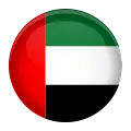 dubai_flag_icon